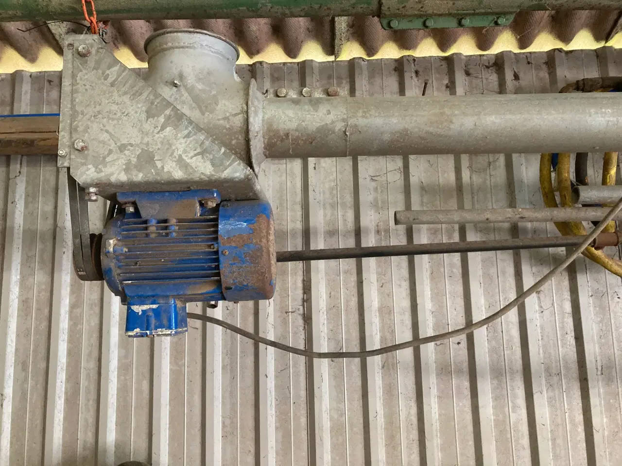 Billede 1 - Kornsnegl  3 meter 