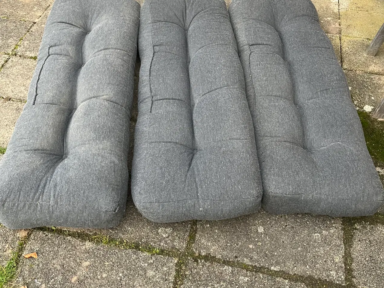 Billede 4 - Her er de havehynder du altid står og mangler.....