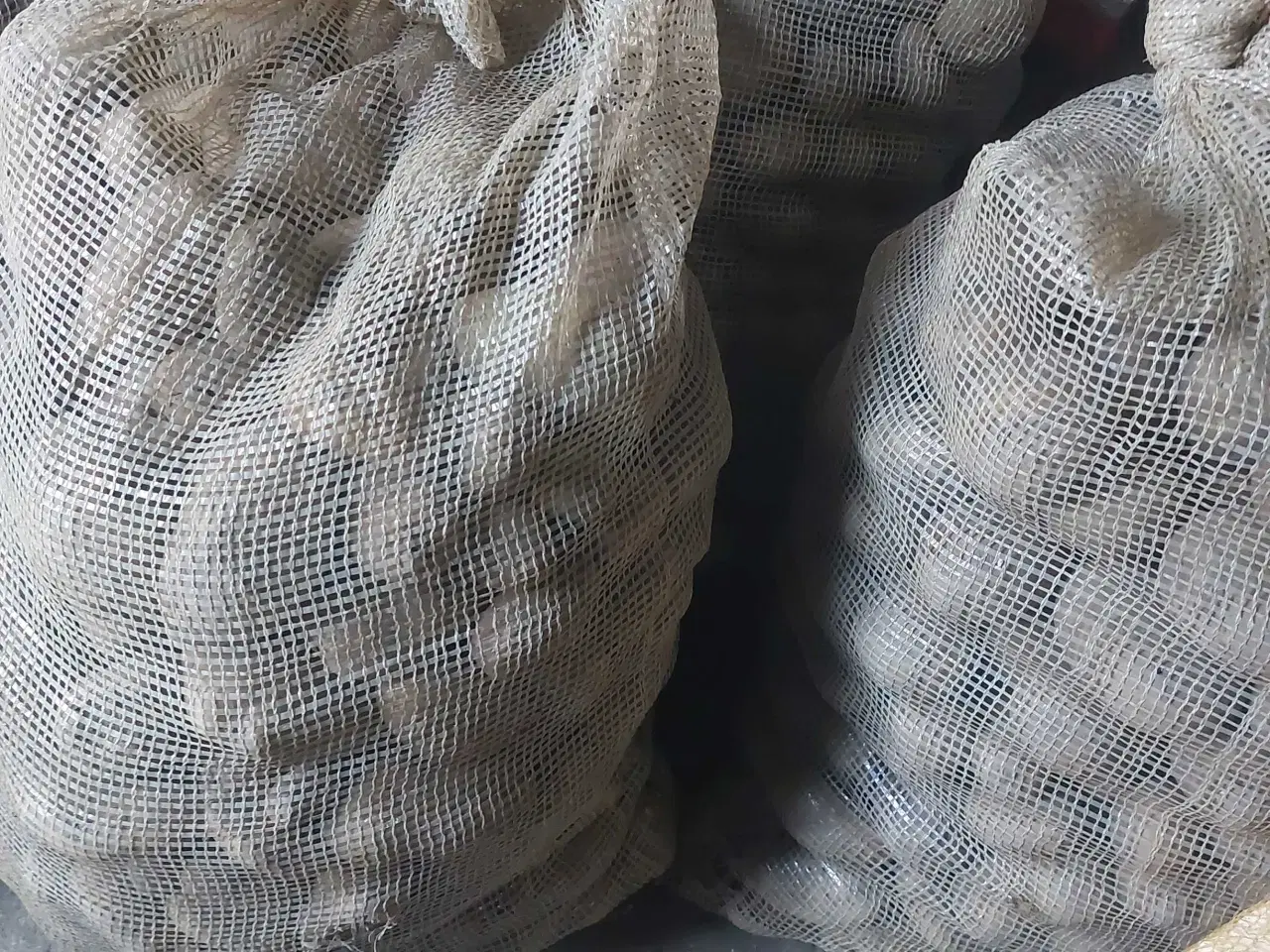 Billede 2 - Dyrefoder kartofler