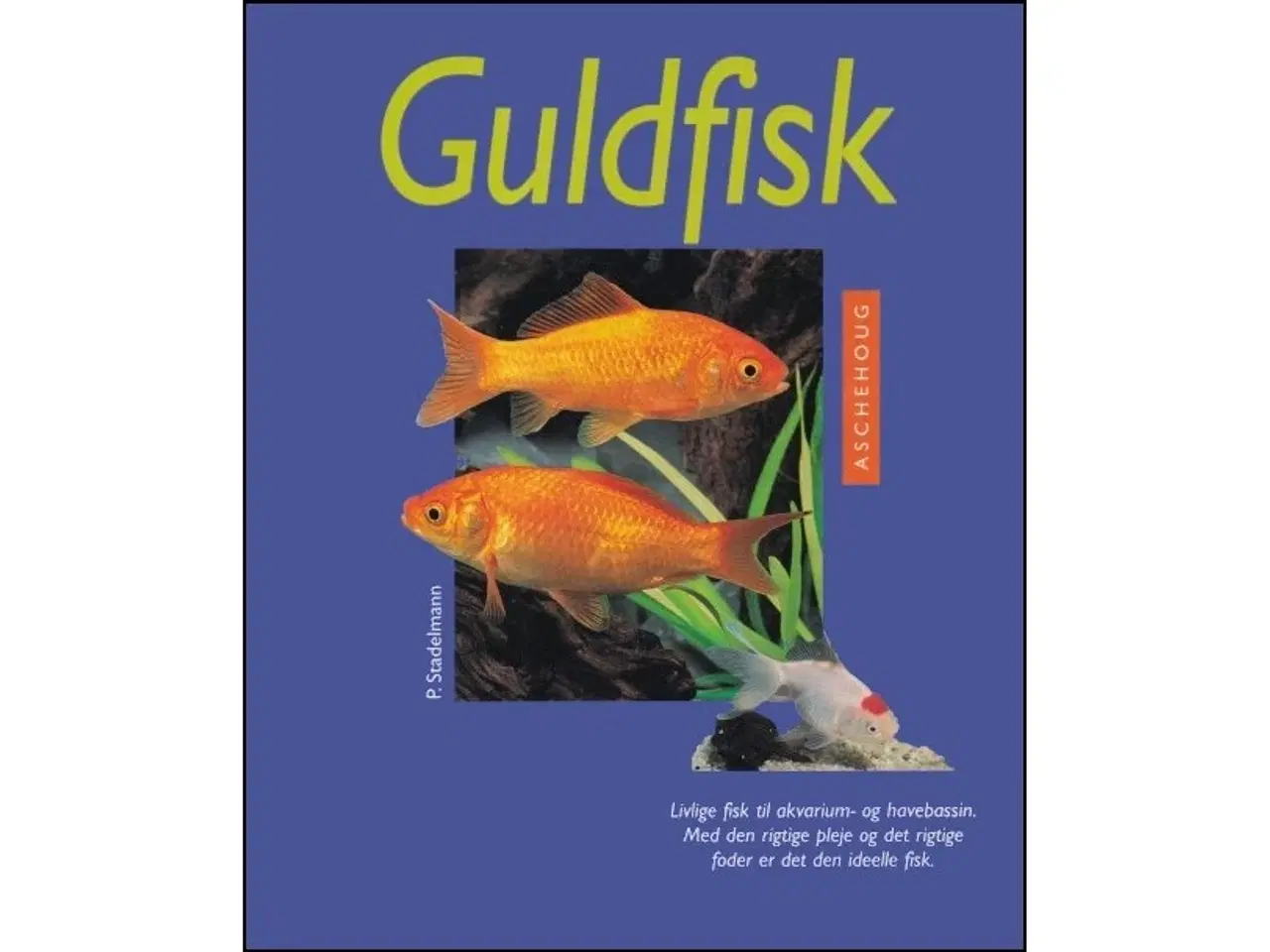 Billede 1 - Guldfisk