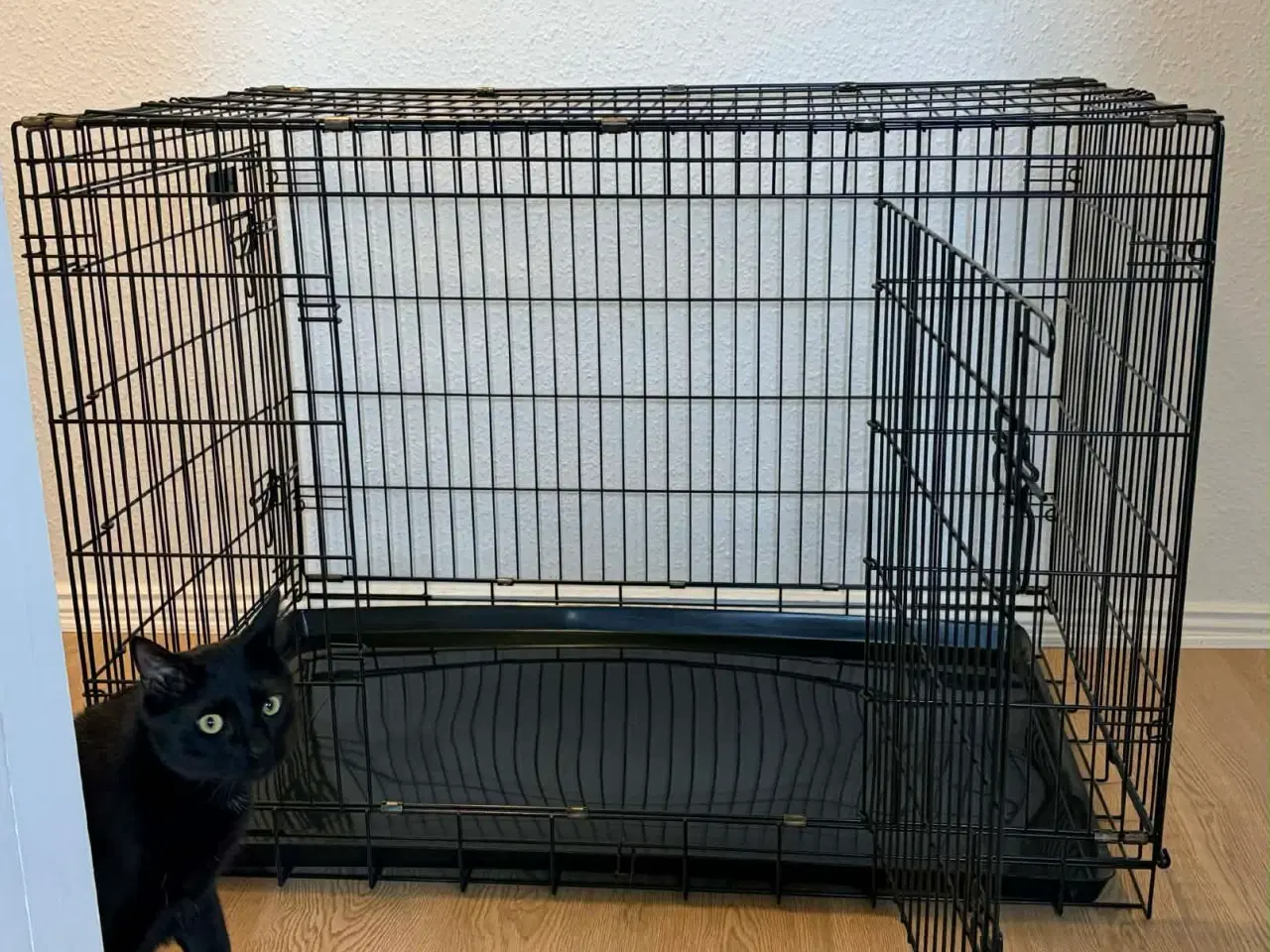 Billede 6 - Dyrebur til salg