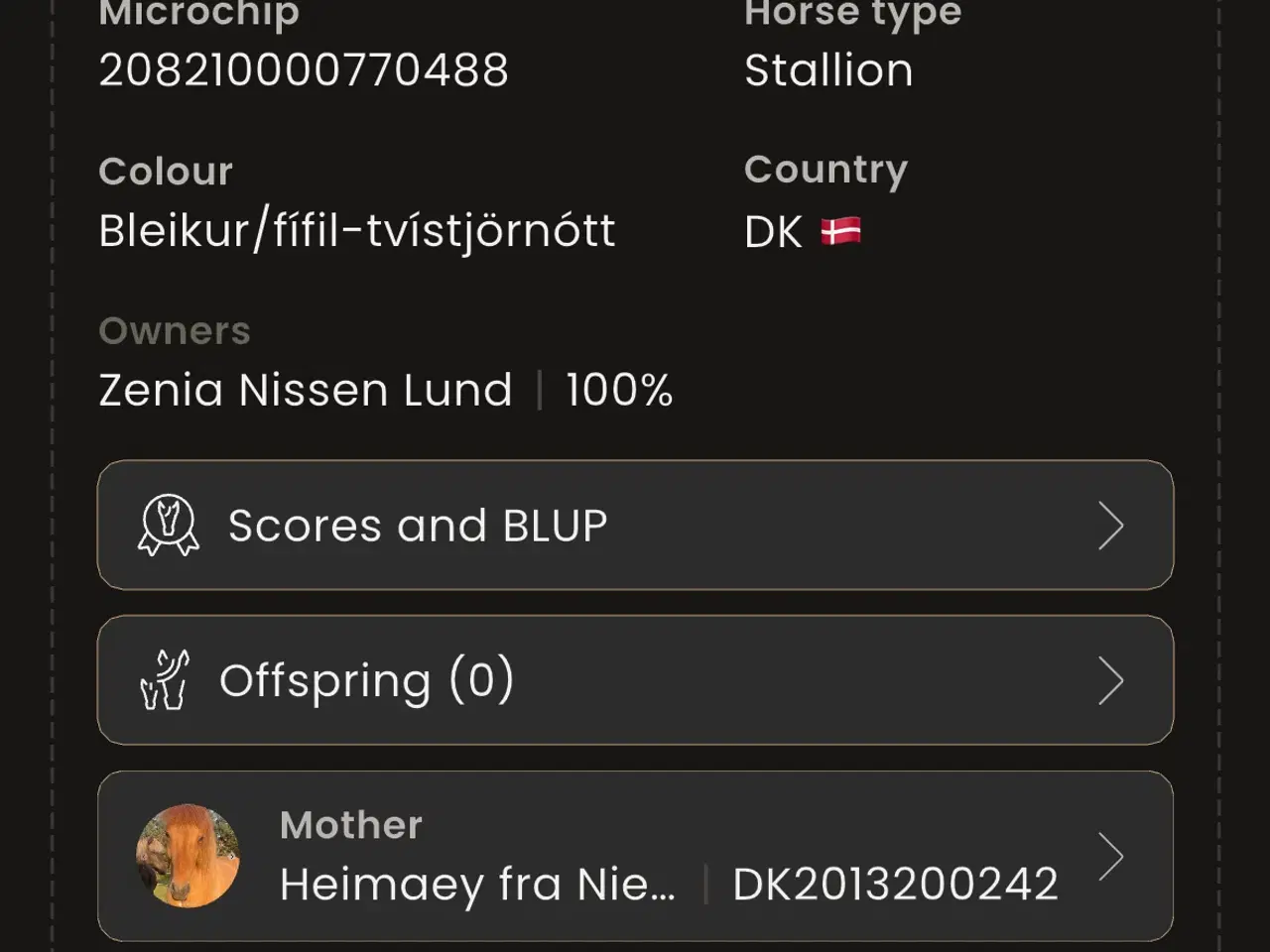 Billede 4 - Islænder
