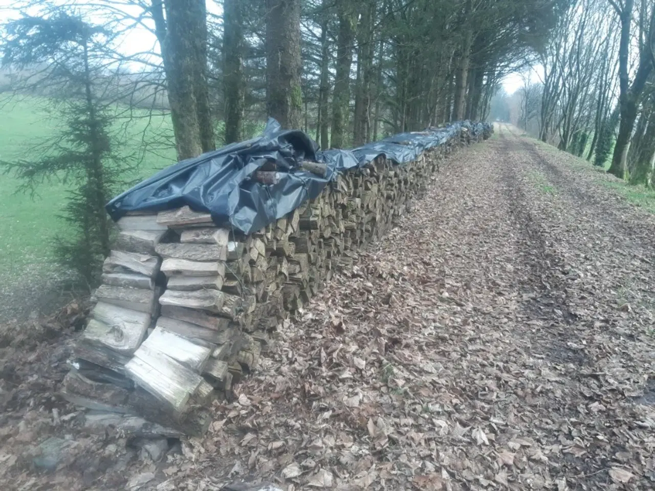 Billede 2 - Brænde Løvtræ 