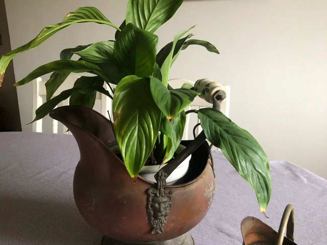 Billede 1 - Urtepotte skjuler