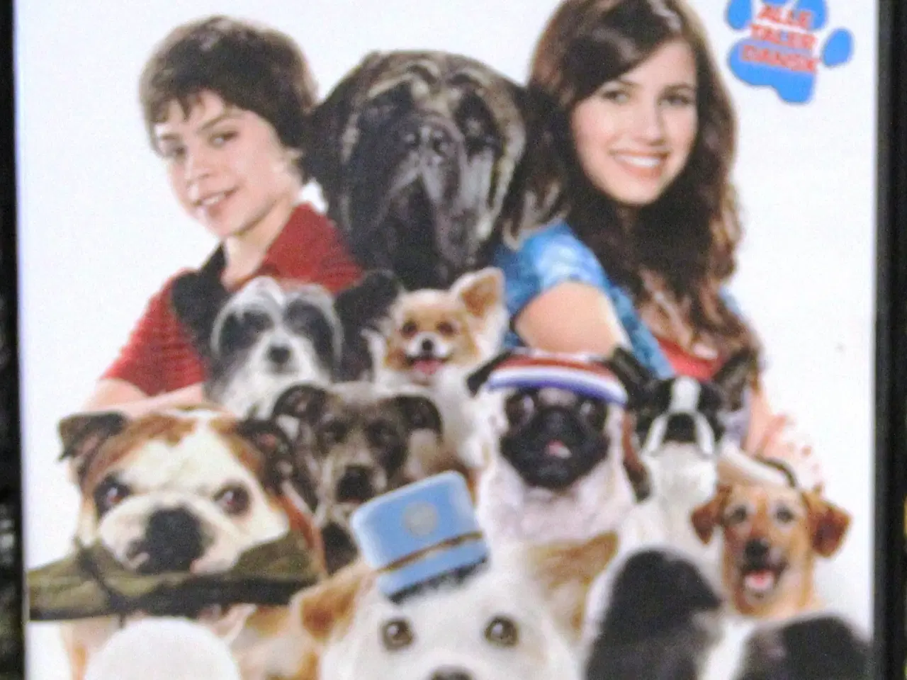 Billede 6 - Børne DVD-film til salg