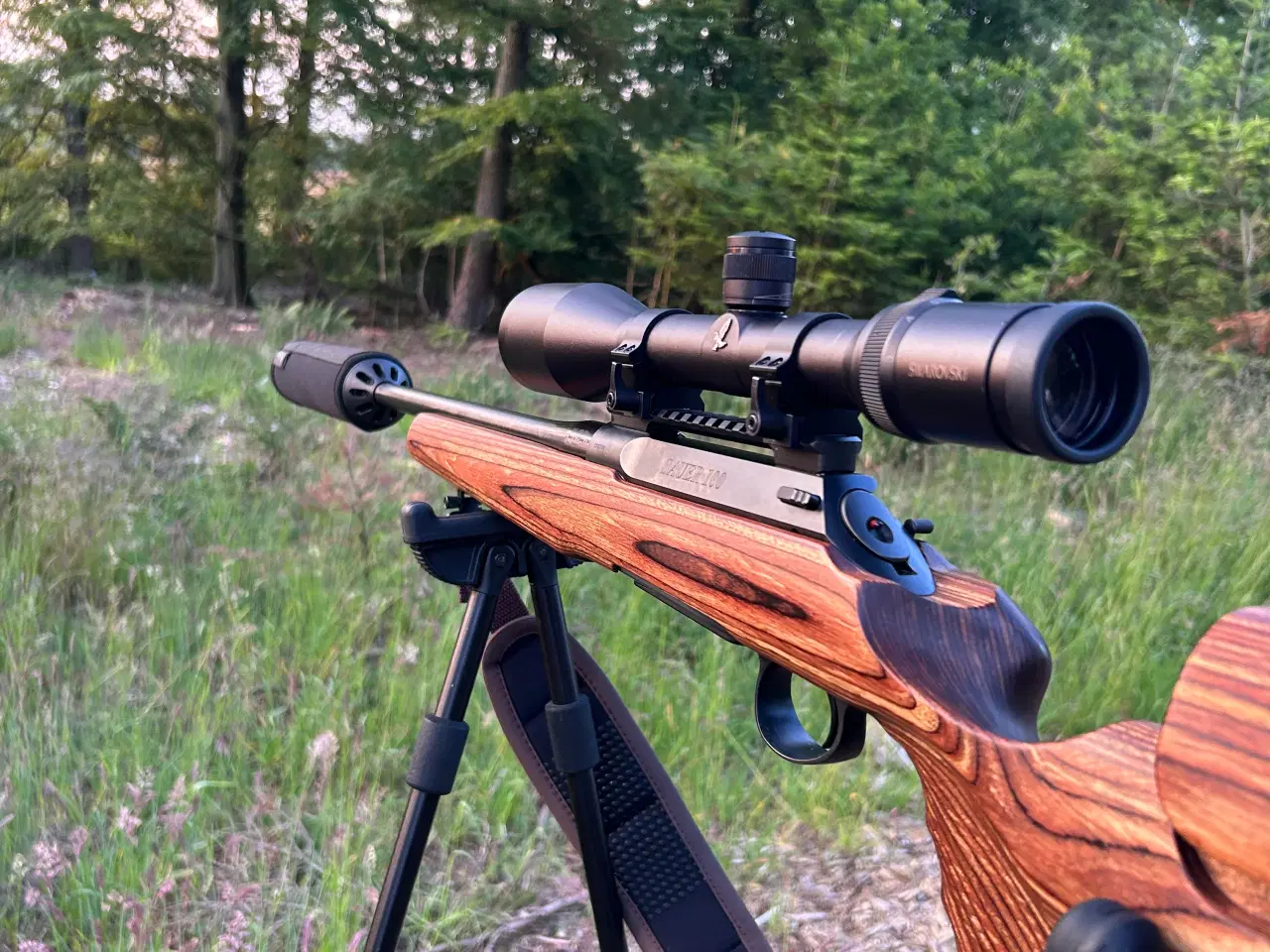 Billede 2 - Sauer 100 med GRS, Swarovski kikkert og lyddæmper