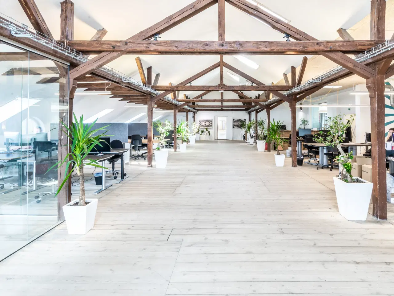 Billede 1 - Kontorfællesskab på Kochsgade 31, Odense C