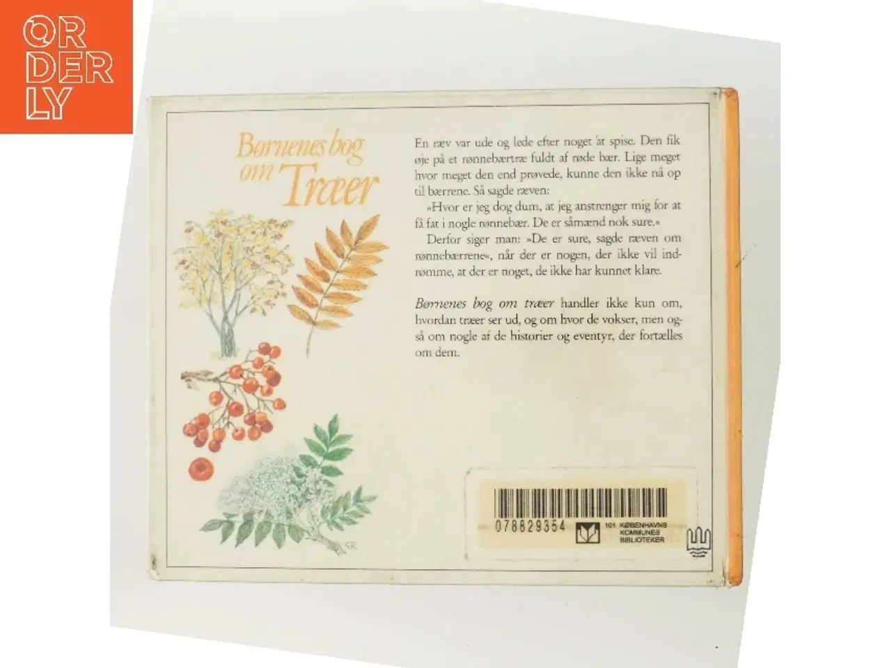 Billede 3 - Børnenes bog om Træer af Bisse Falk (Bog)