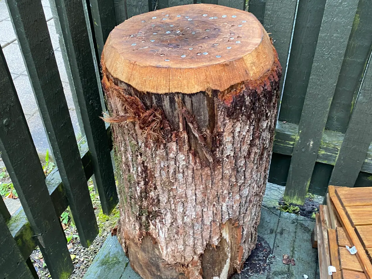 Billede 4 - Huggeblok / træblok - højde 80 cm (Slå søm i )