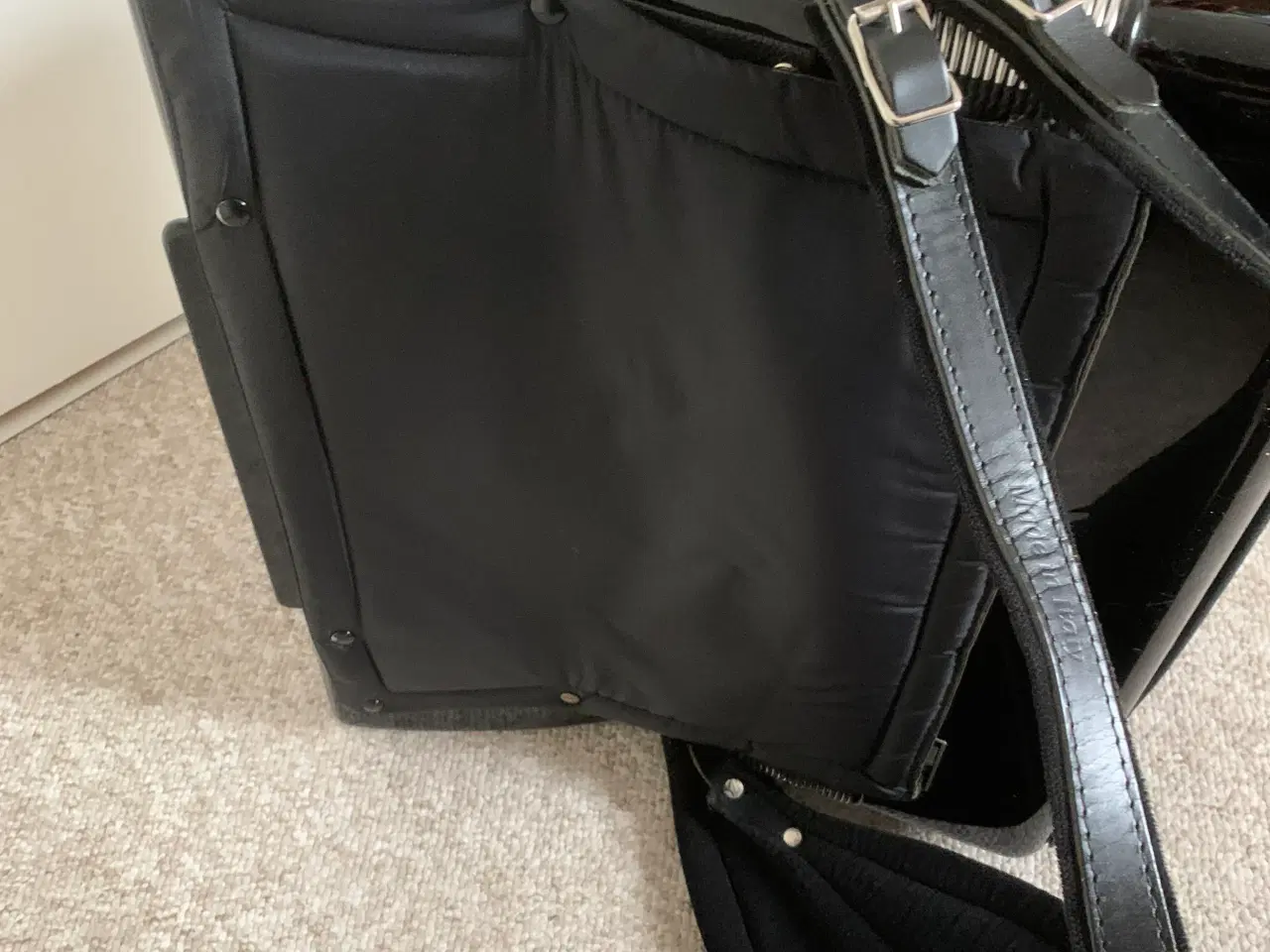 Billede 3 - Brandoni musette med midi og mikrofon.