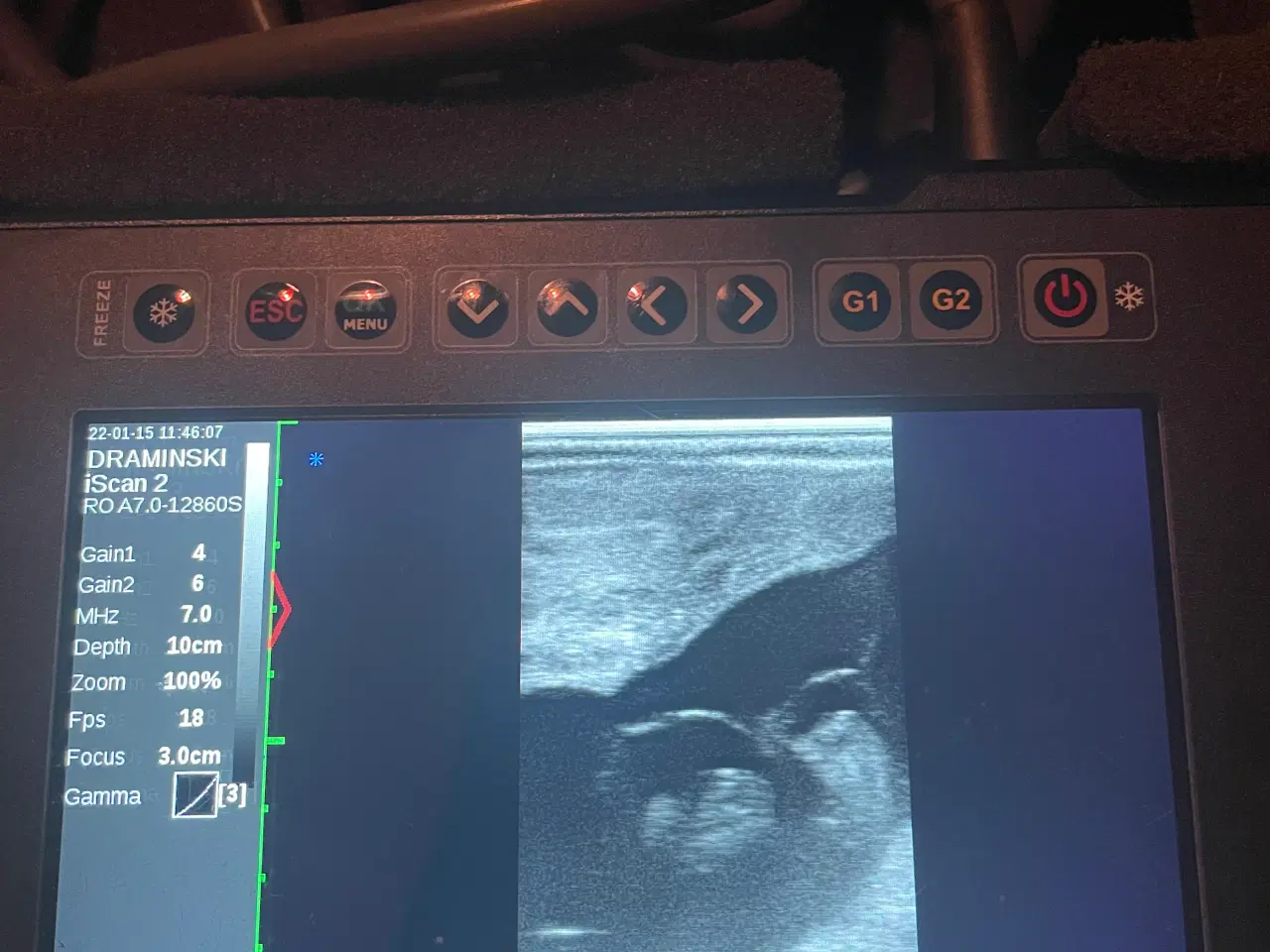 Billede 7 - Veterinary ultrasound draminski ISkan2