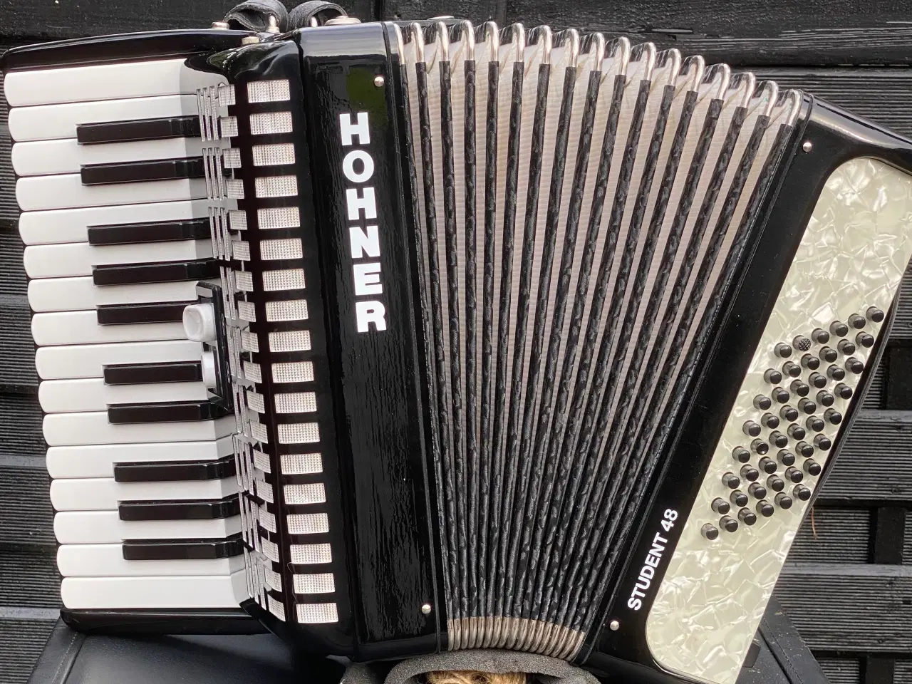 Billede 3 - Denne brugt Hohner Student 48 Tangent harmonika 