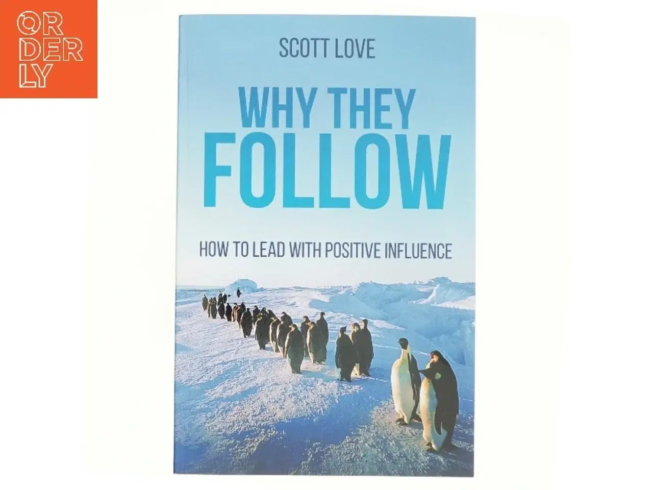 Billede 1 - Why They Follow af Scott Love (Bog)