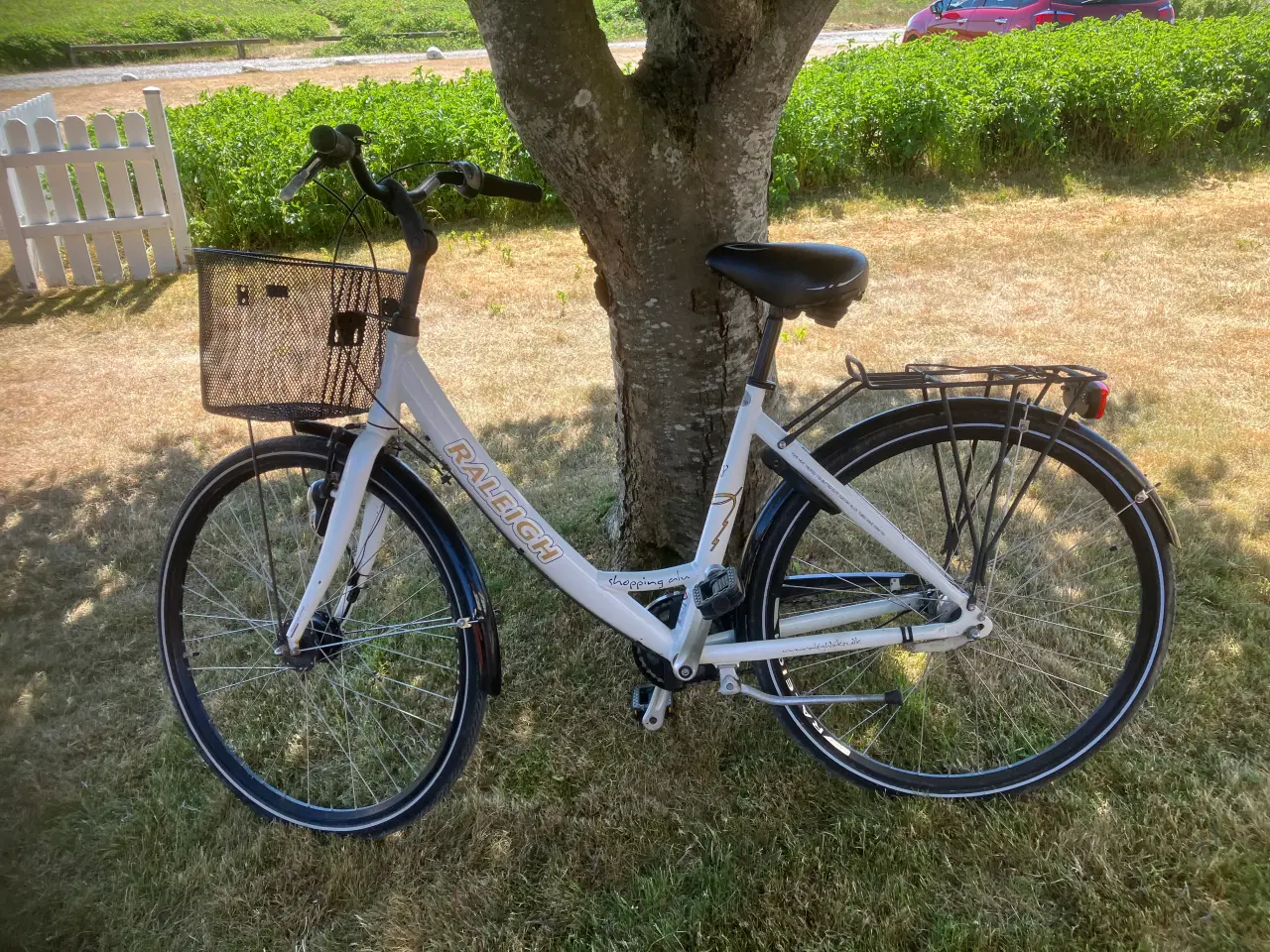Billede 3 - Raleigh damecykel