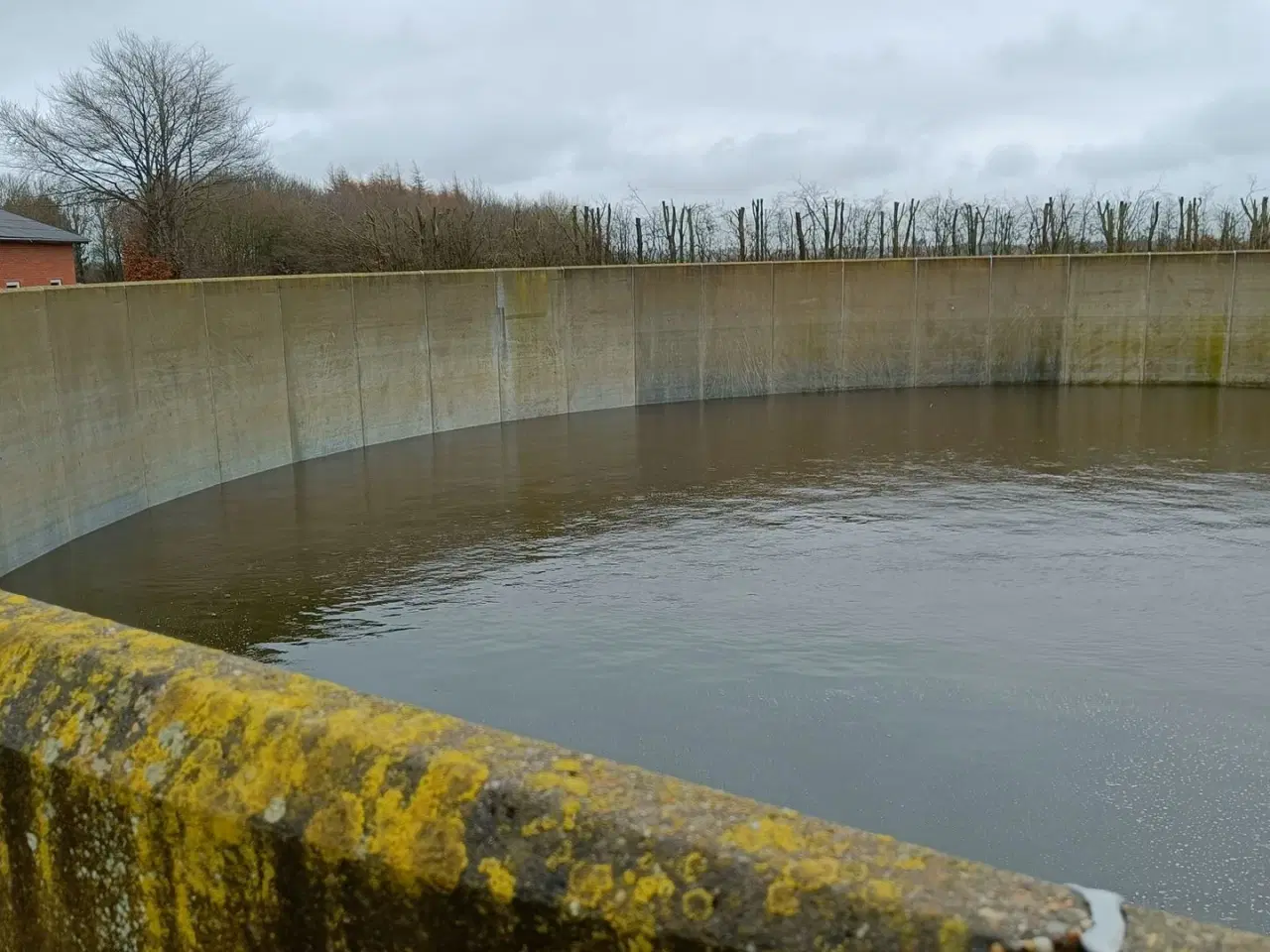 Billede 7 - - - - Gylletank 2000 m3