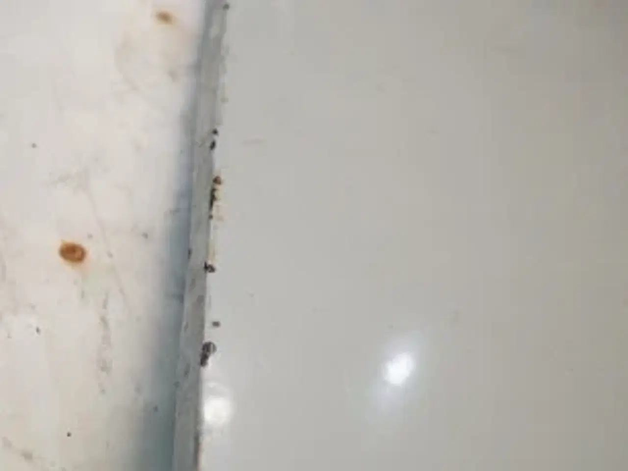 Billede 8 - Claas Dominator 98 Sideskærm 6149671