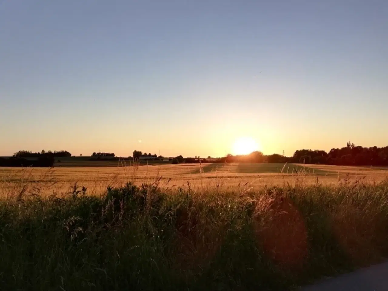 Billede 13 - KOLONIHAVE VED VORDINGBORG    – INGEN BOPÆLSPLIGT!