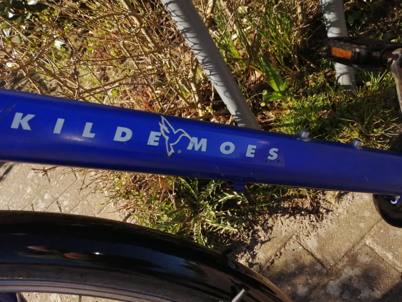 Billede 1 - Kildemoes