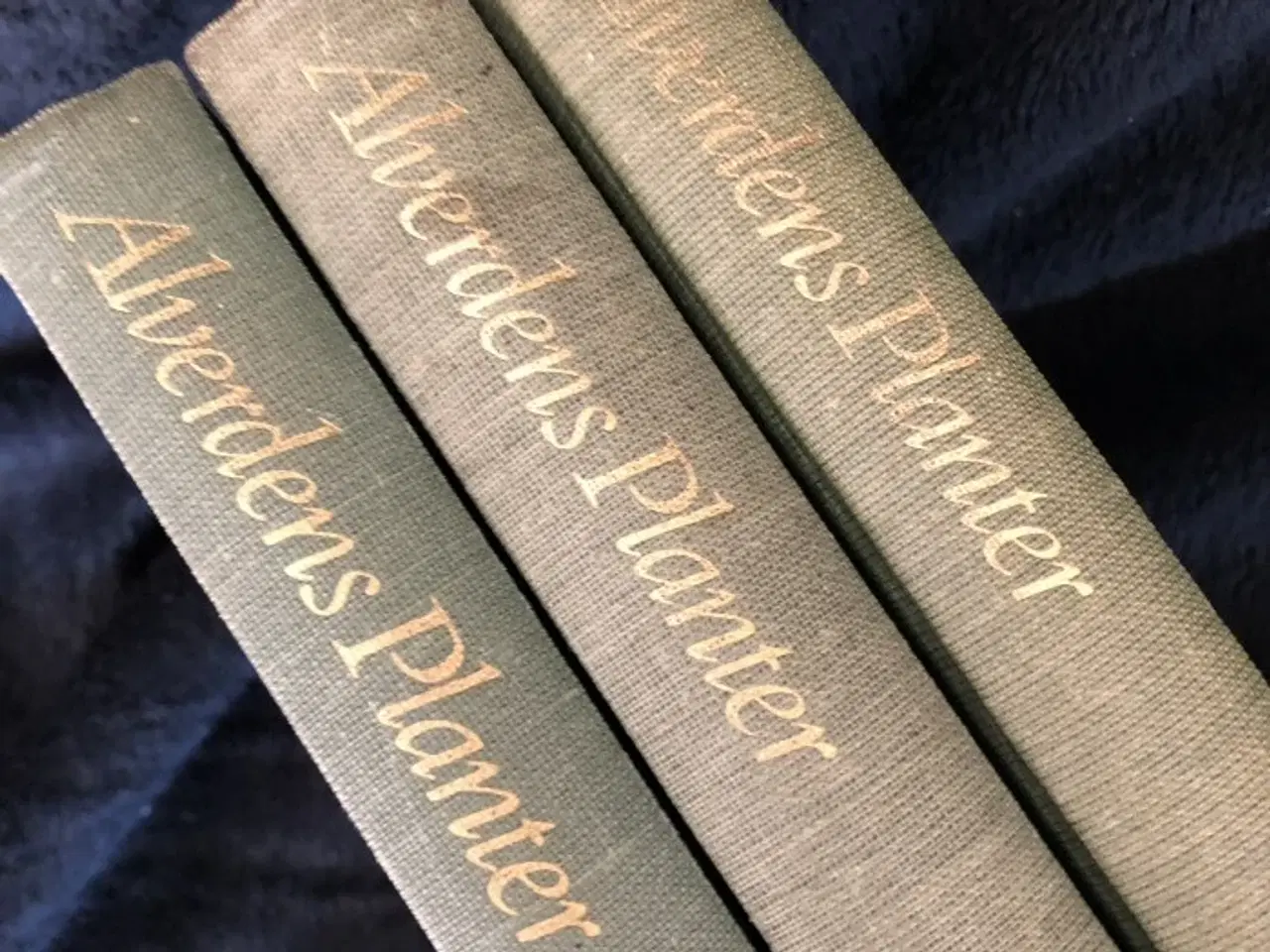 Billede 1 - Alverdens planter – bind 1-3 – klassiker – H.C.D. 