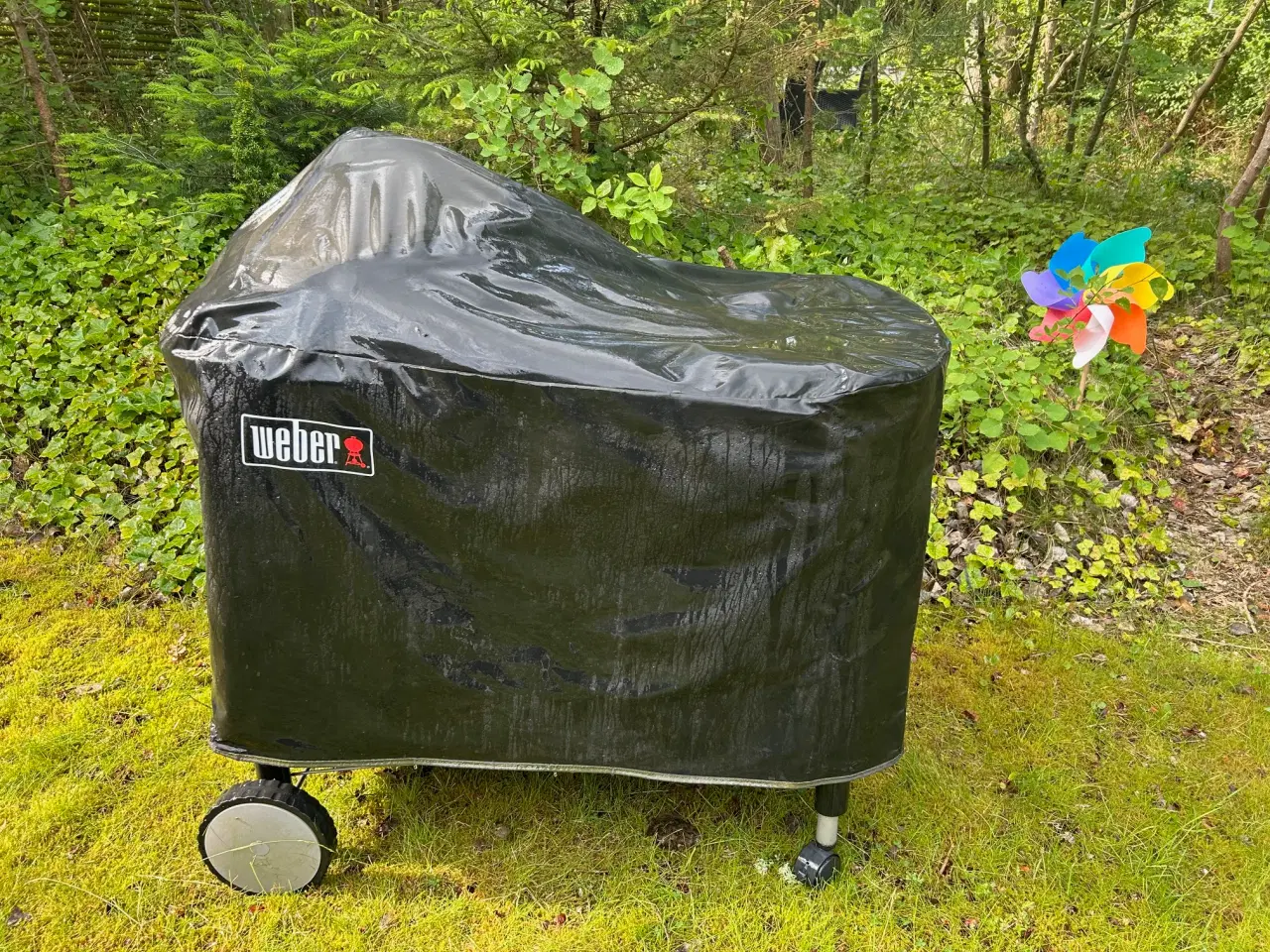 Billede 1 - Weber Performed med ekstra kul og gas