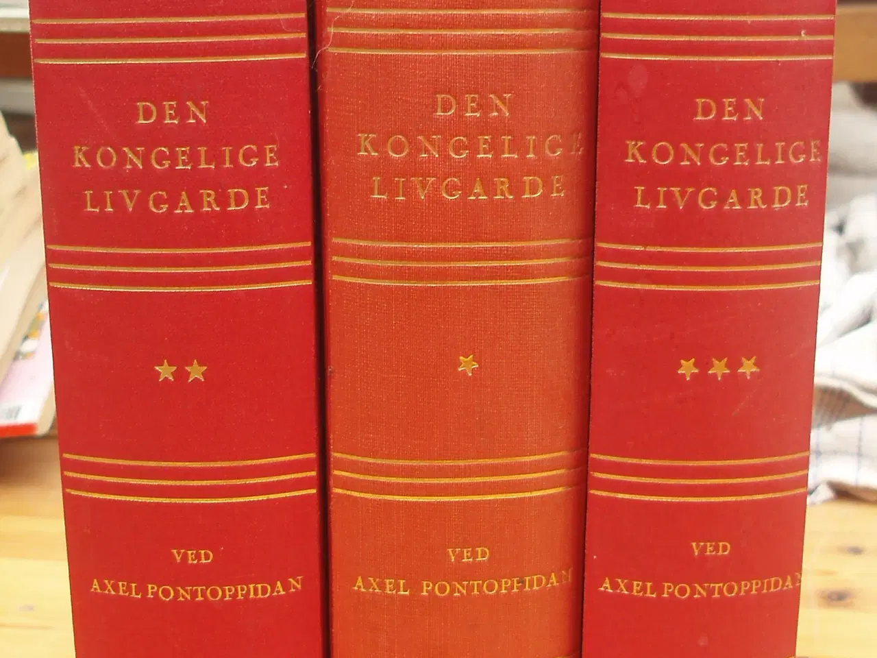 Billede 1 - Den Kongelige Livgarde