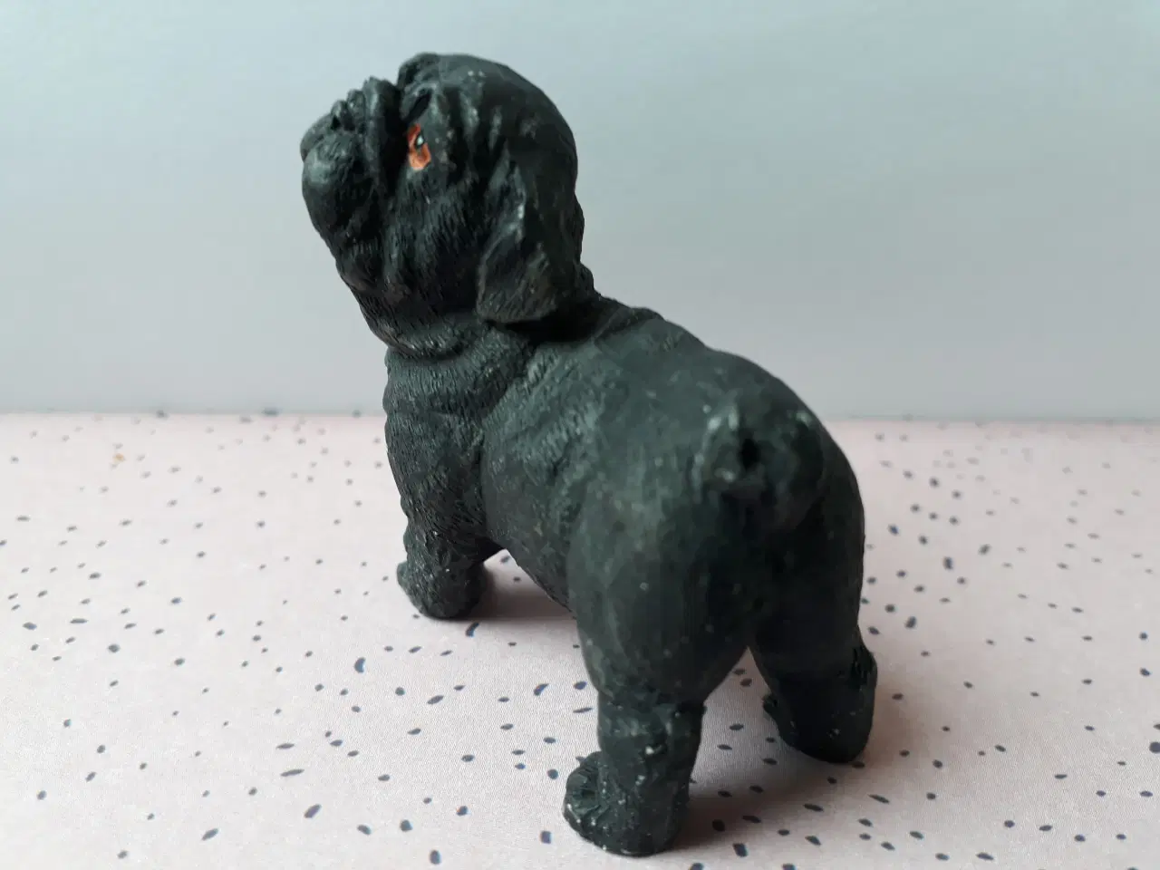 Billede 4 - 5 Hunde og 1 Kanin 