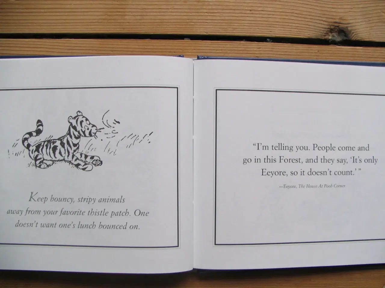 Billede 6 - Eeyore's Gloomy Little Instruction Book