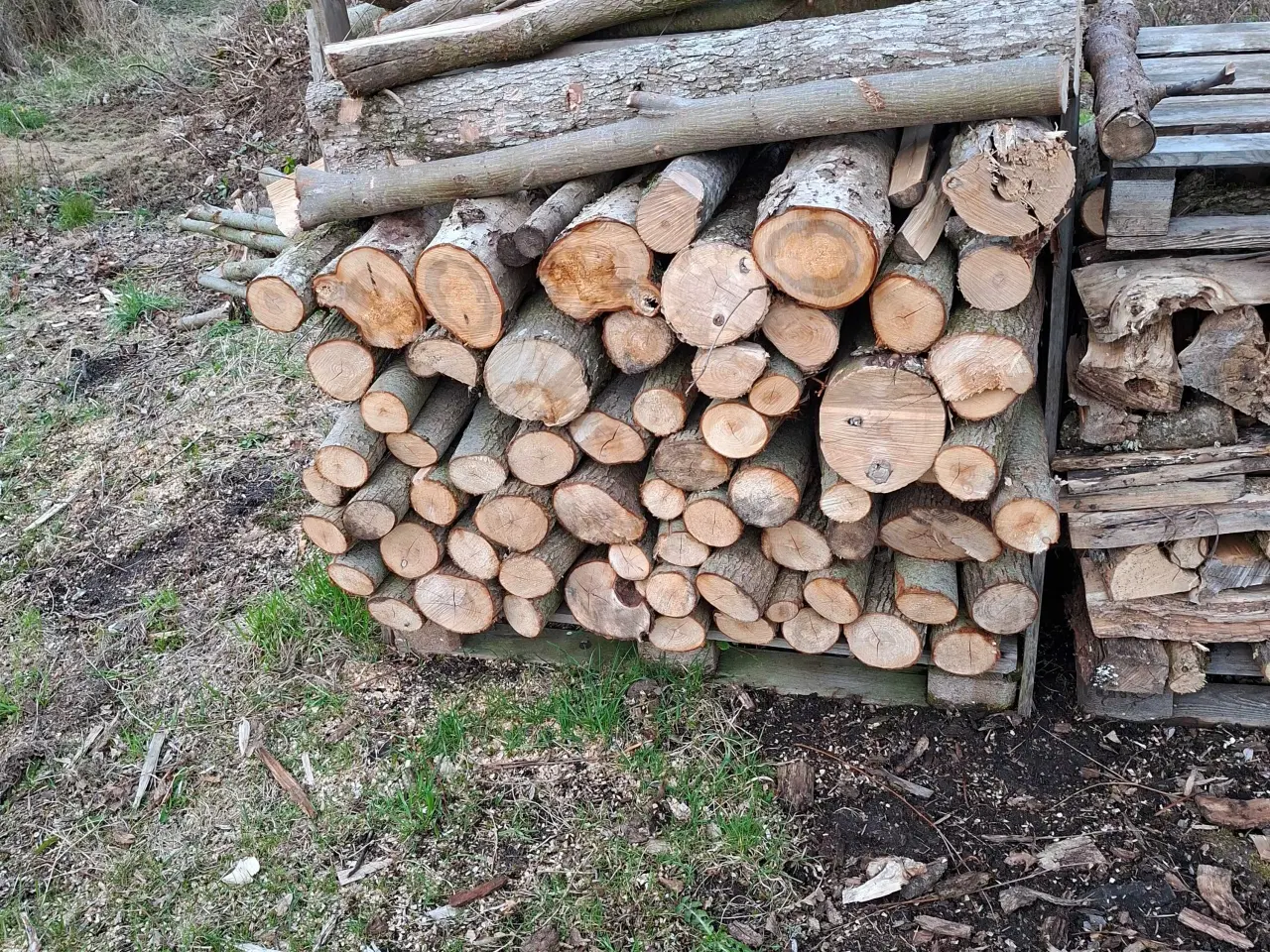 Billede 1 - Brænde