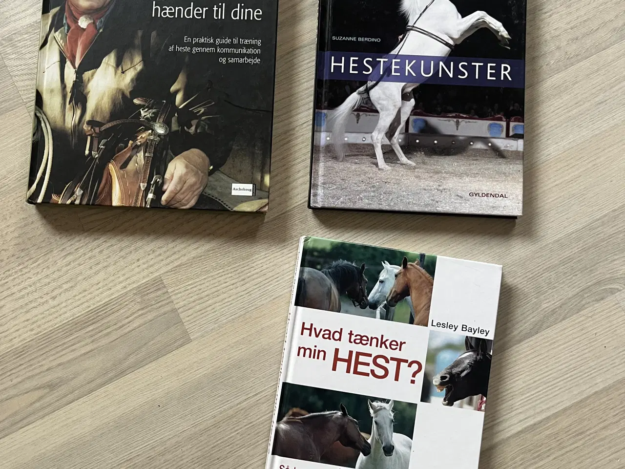 Billede 2 - Heste bøger 