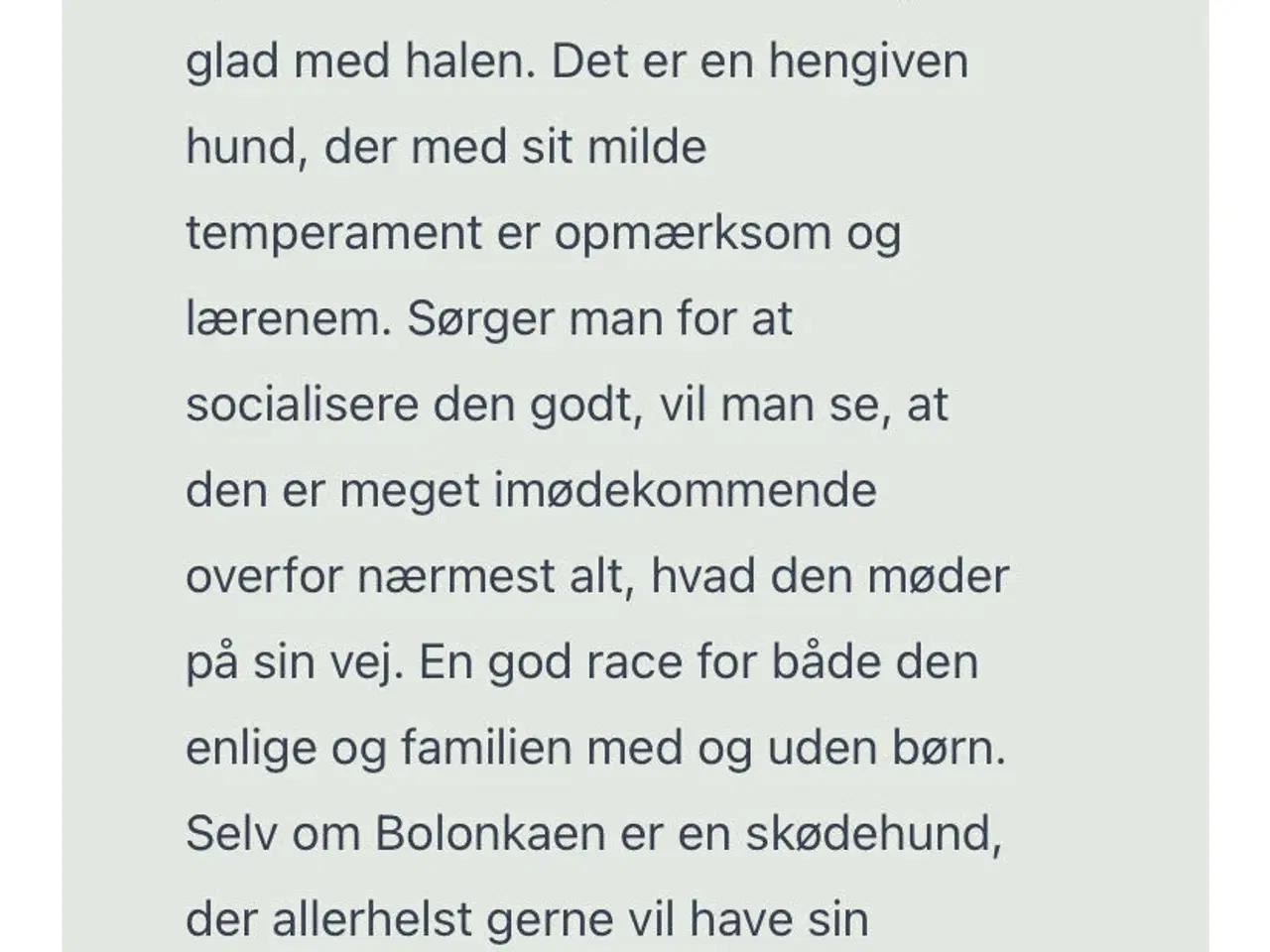 Billede 11 - Skønne allergivenlige Coton og Bolonka blandnings 