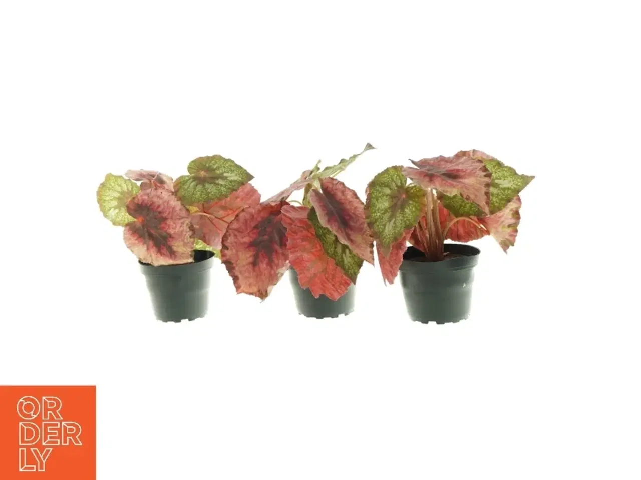 Billede 1 - kunstige planter 3 stk. (str. 20 x 8cm)