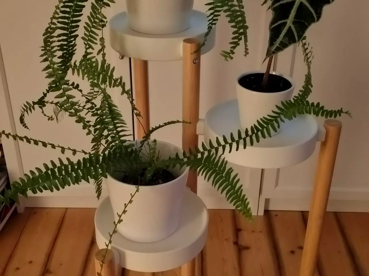 Billede 1 - Plante opsats i 3 niveauer fra Ikea.