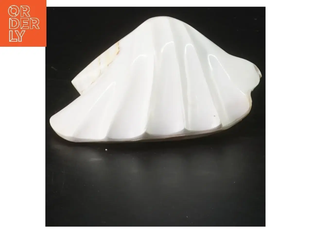 Billede 2 - Dekorativ muslingeskal (str. 14x11x7 cm)