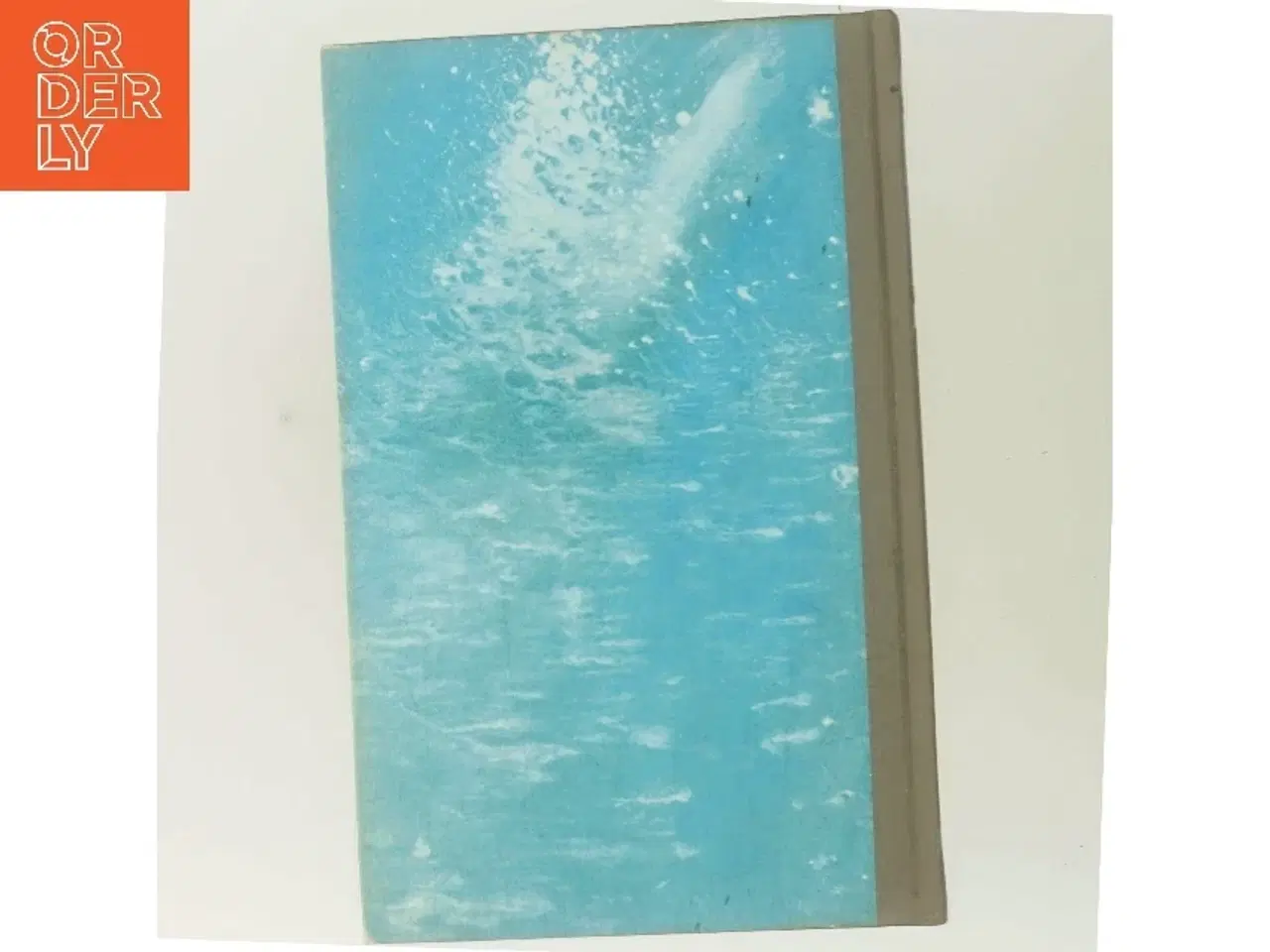 Billede 4 - To mand - én skygge af Desmond Bagley (Bog)