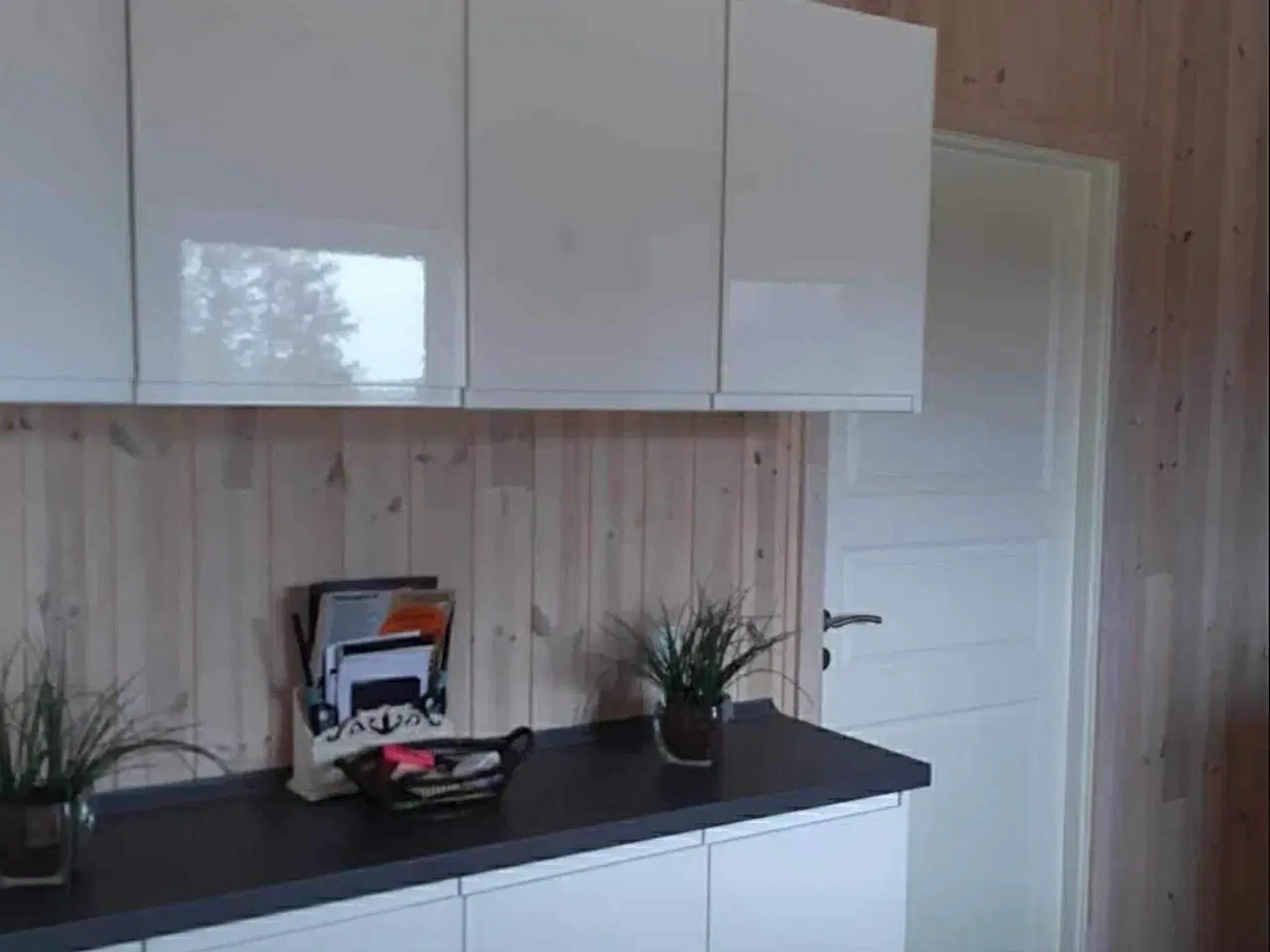 Billede 4 - Sommerhus udlejes …..hund tilladt