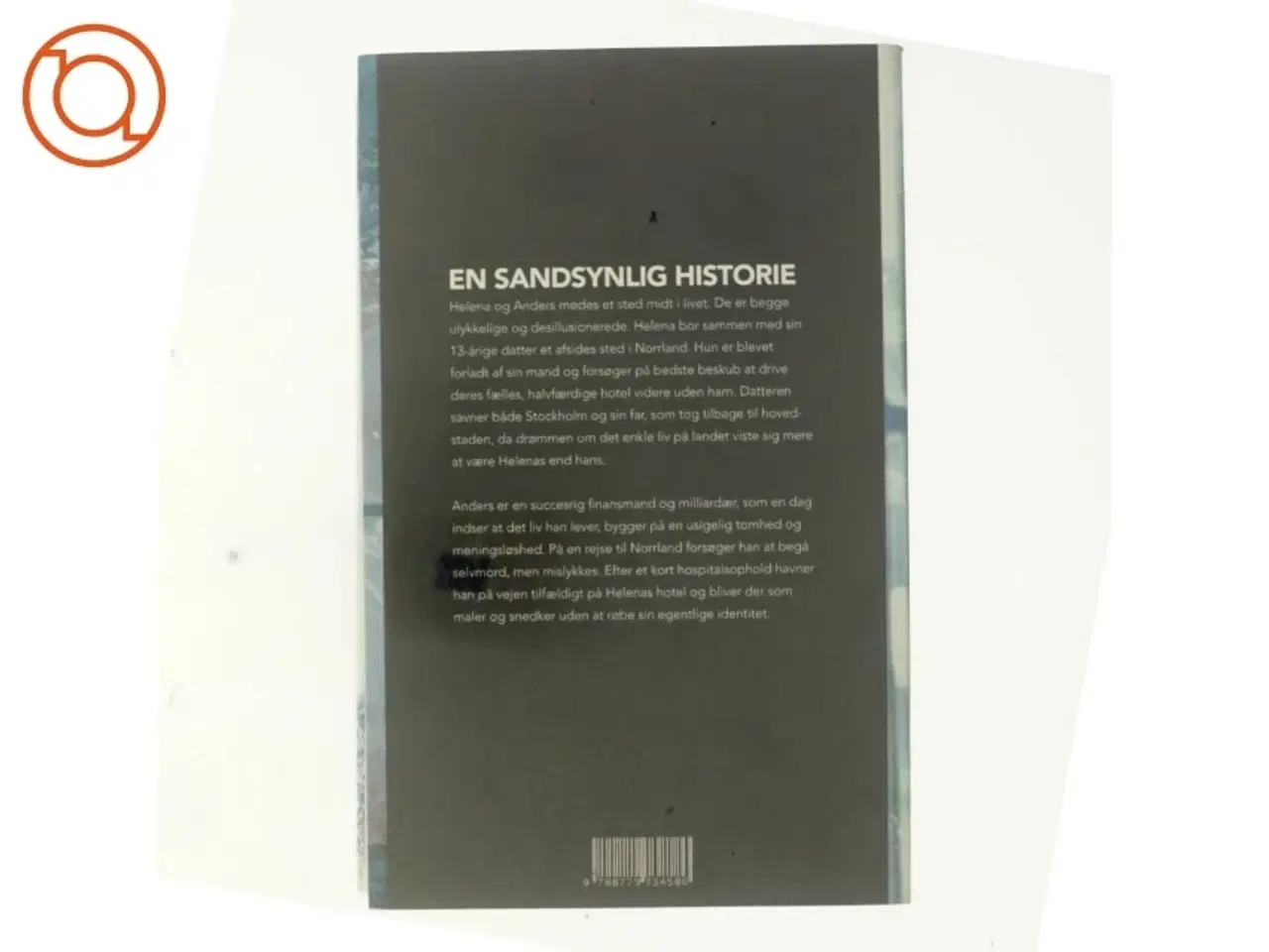 Billede 3 - En sandsynlig historie af Karin Alvtegen