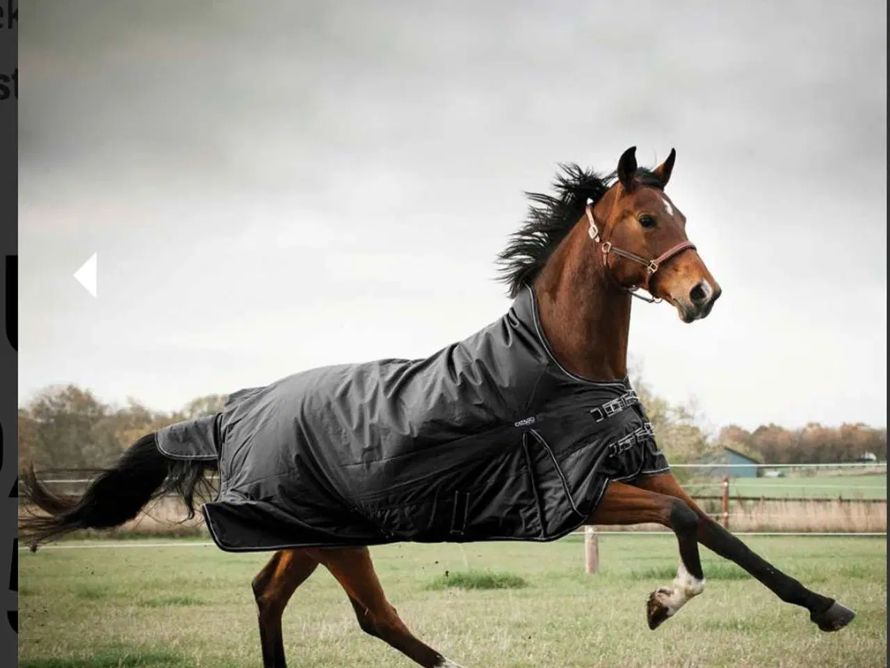 Billede 1 - Catago udedækken super stærkt 135