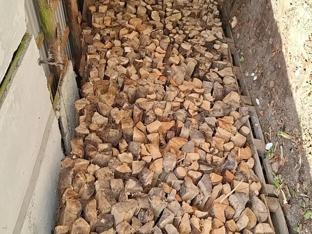 Billede 2 - Brænde