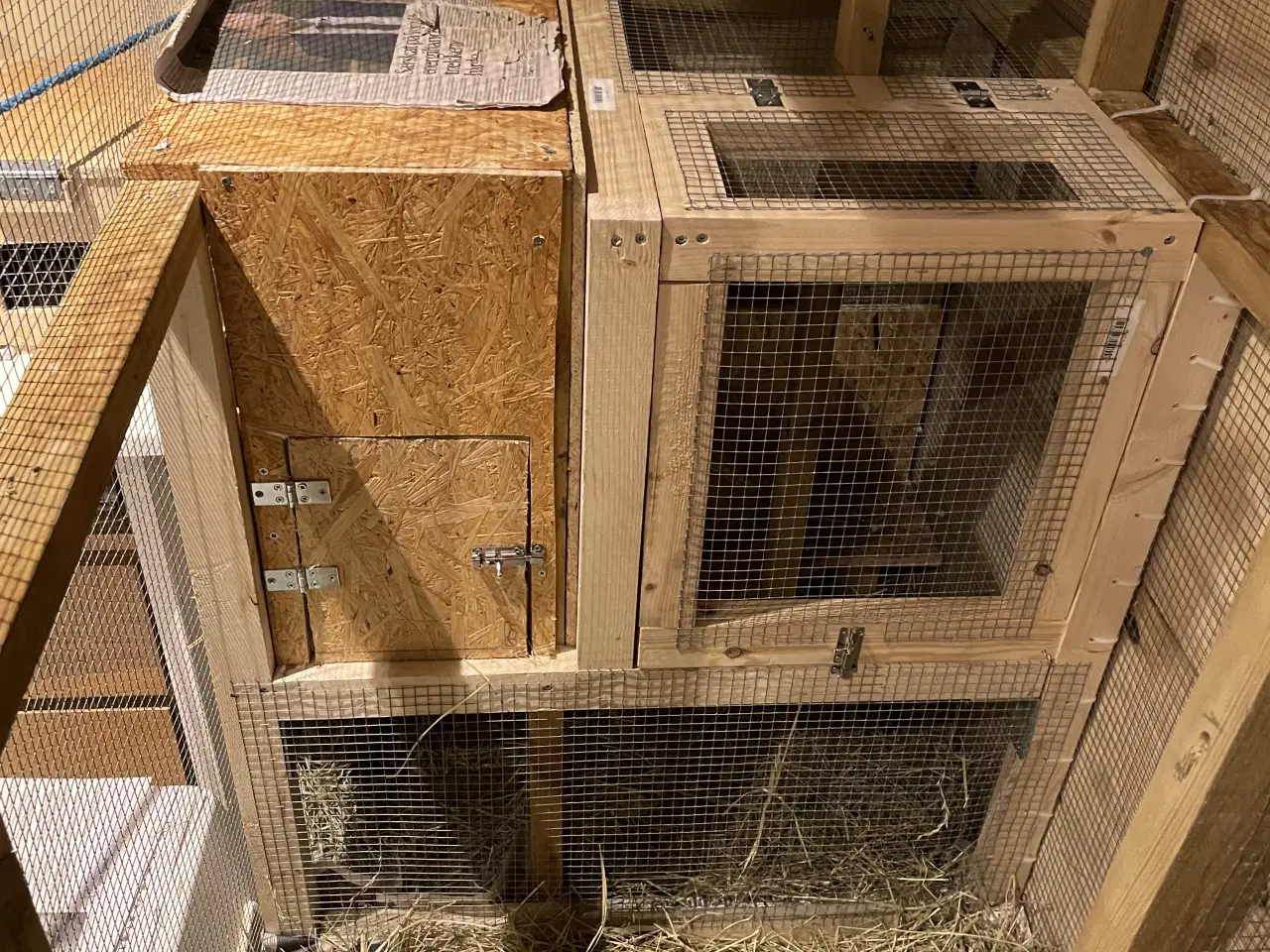 Billede 3 - Håndlavede bure & volierer i træ