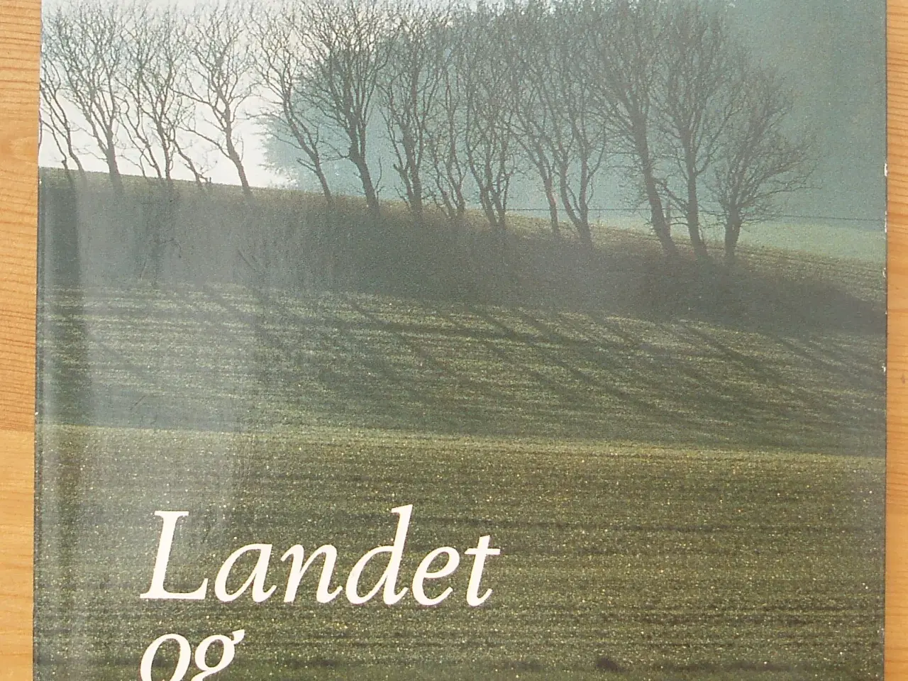 Billede 1 - Landet og året af Søren Ryge Petersen