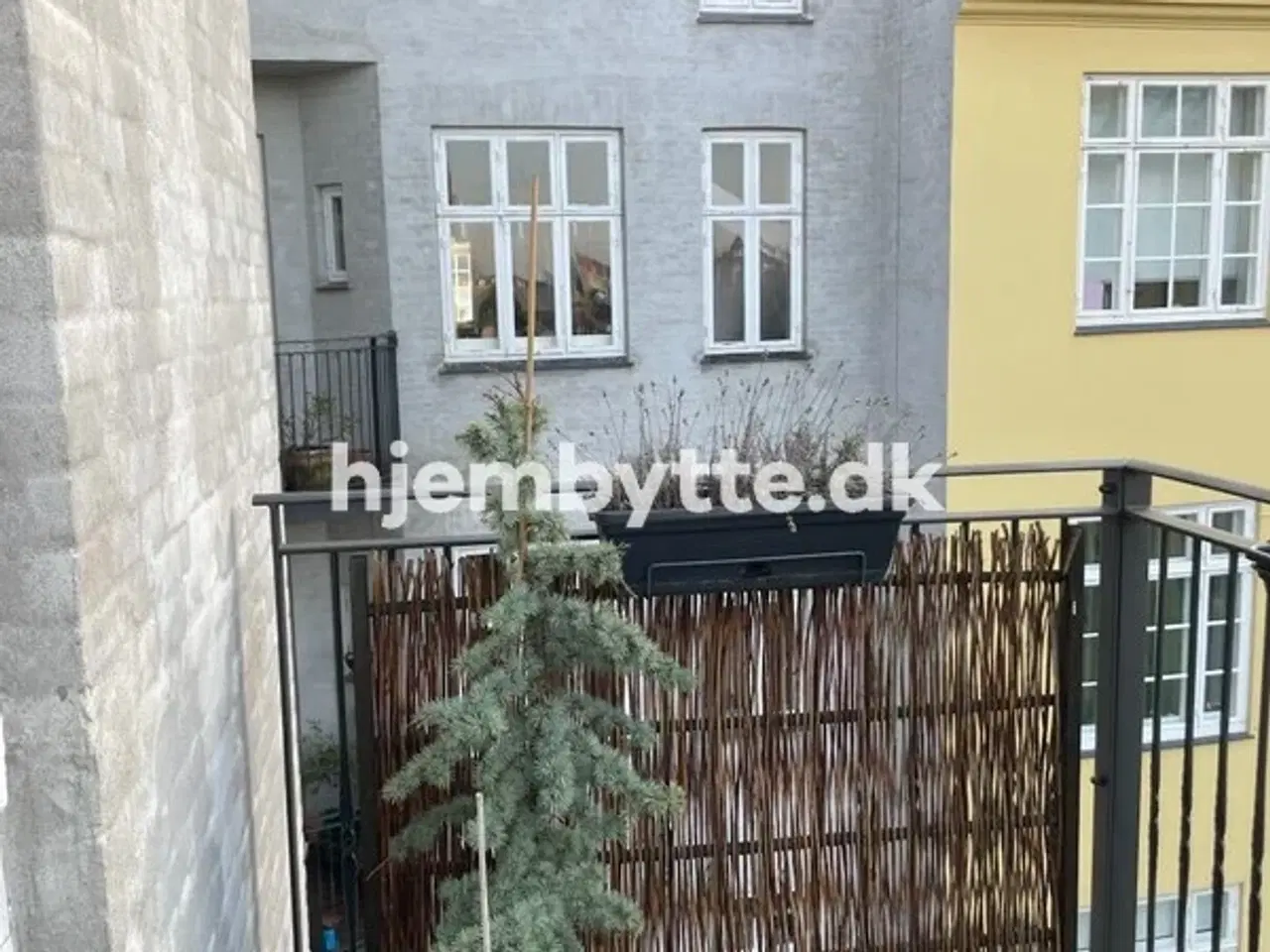 Billede 17 - Hjembytte - Nyvej