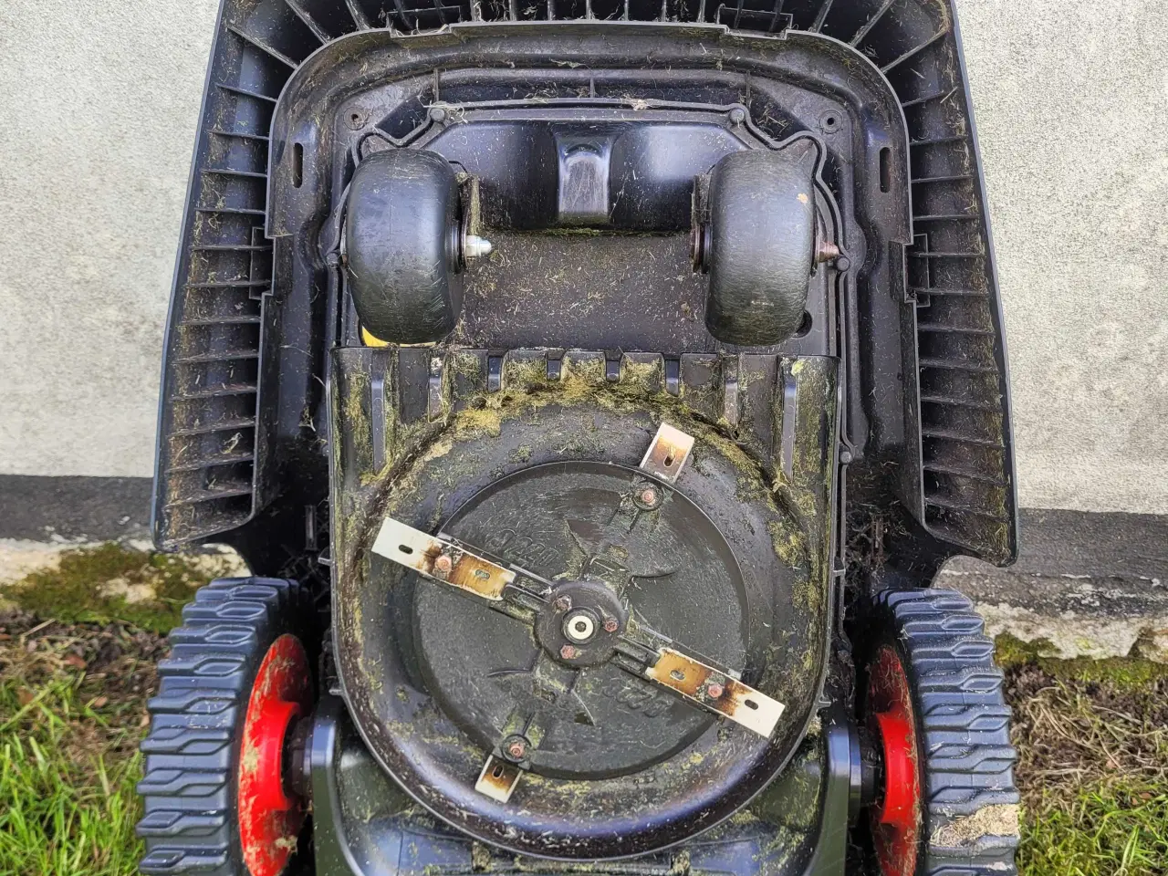 Billede 3 - Al KO ROBOLINHO 1150