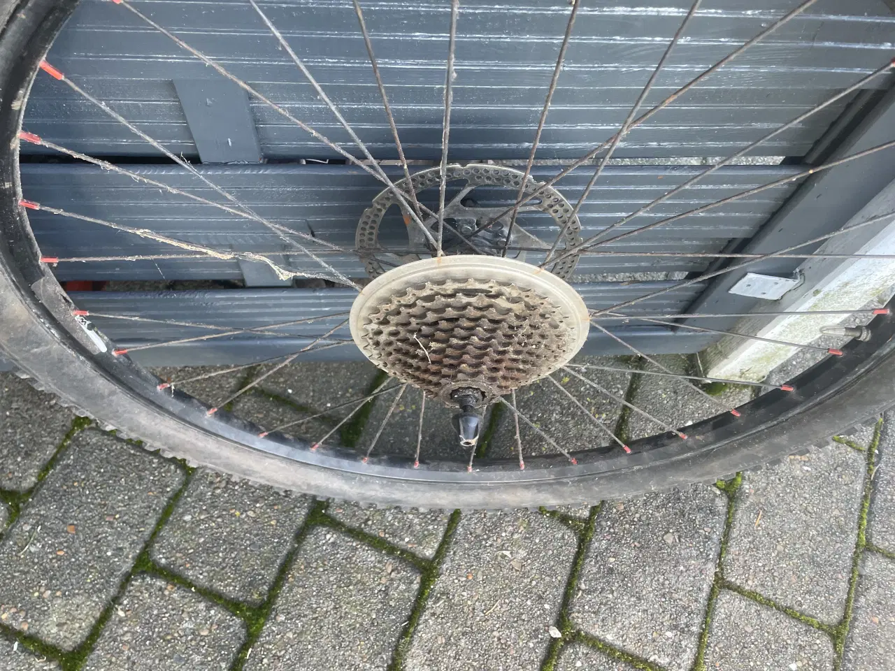 Billede 2 - Sælger denne to hjul for cykel med fælge  Til 26’