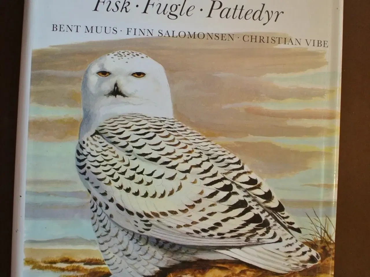 Billede 1 - grønlands fauna - fisk fugle pattedyr, af bent muu