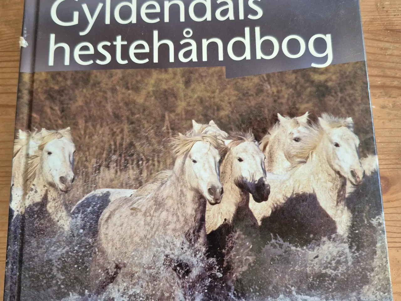 Billede 9 - Hestebøger mange forskellige