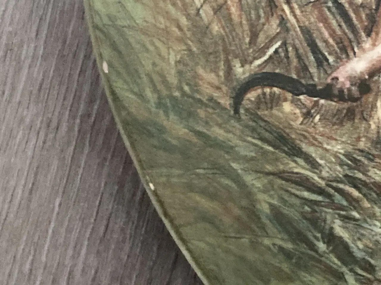 Billede 4 - Villeroy & Boch platte