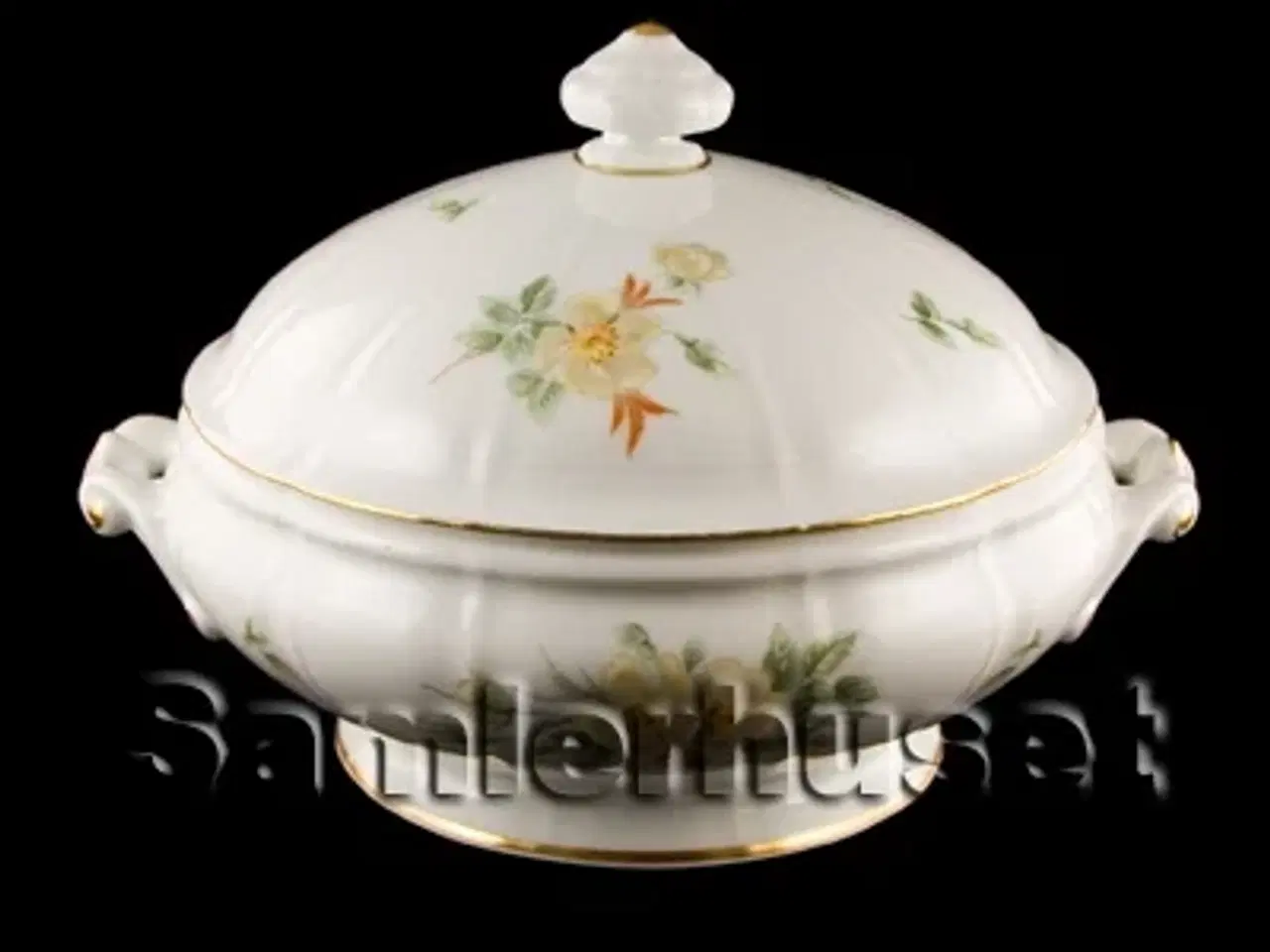 Billede 1 - Klitrose Lågfad