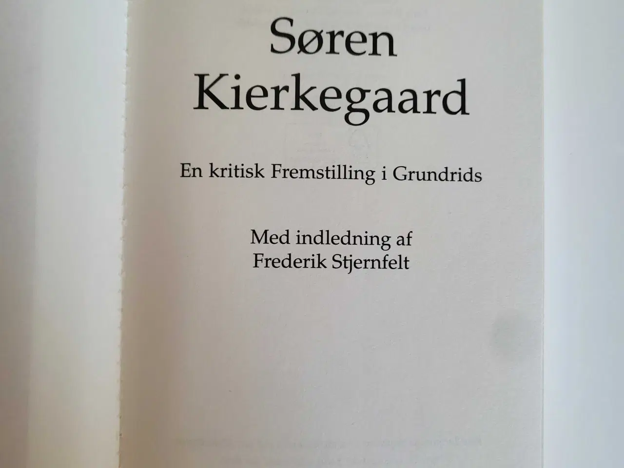 Billede 5 - Søren Kierkegaard. En kritisk fremstilling i grund