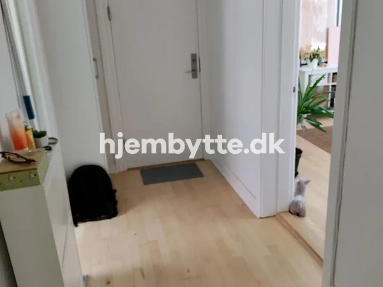 Billede 4 - Hjembytte - Ringstedvej
