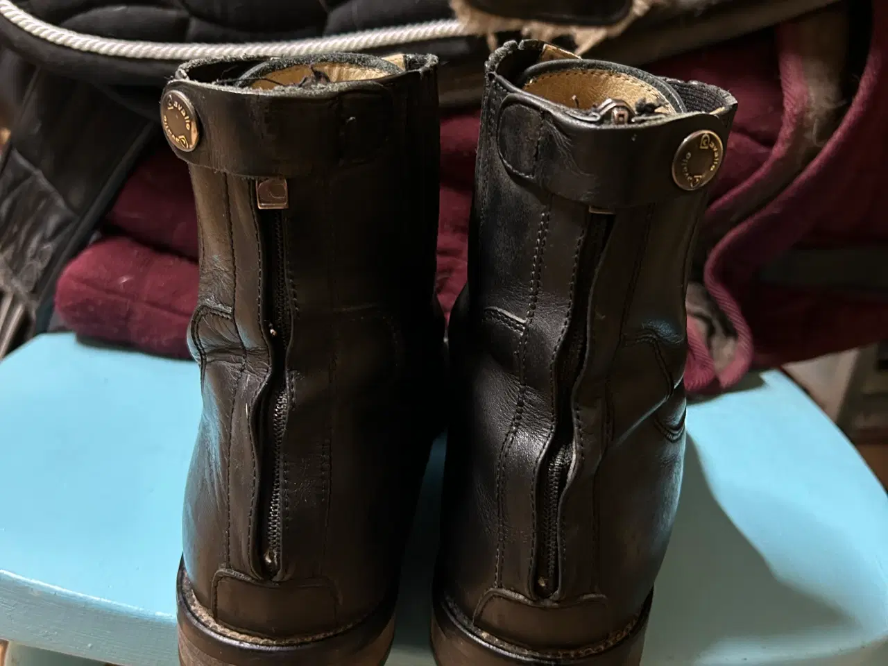 Billede 4 - Cavallo Jodhpurs BYD